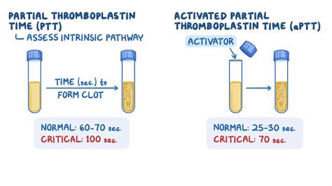 Prothrombin <strong>Time</strong> and <strong>Activated Partial Thromboplastin Time</strong> as. . Causes of low activated partial thromboplastin time